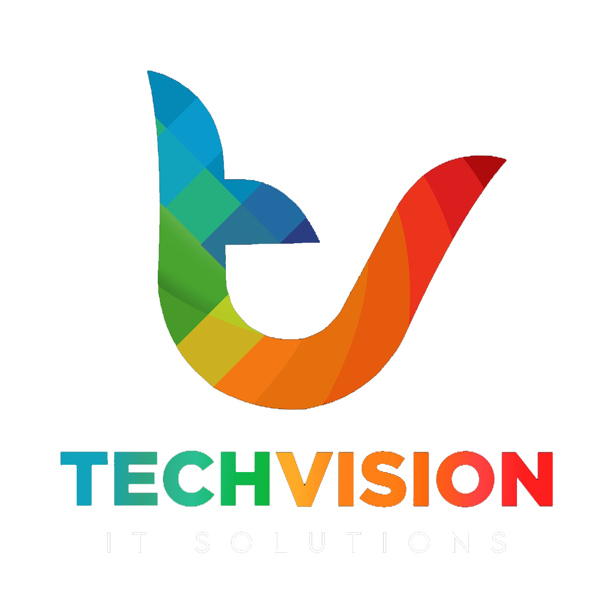 Tech Vision IT Solutions